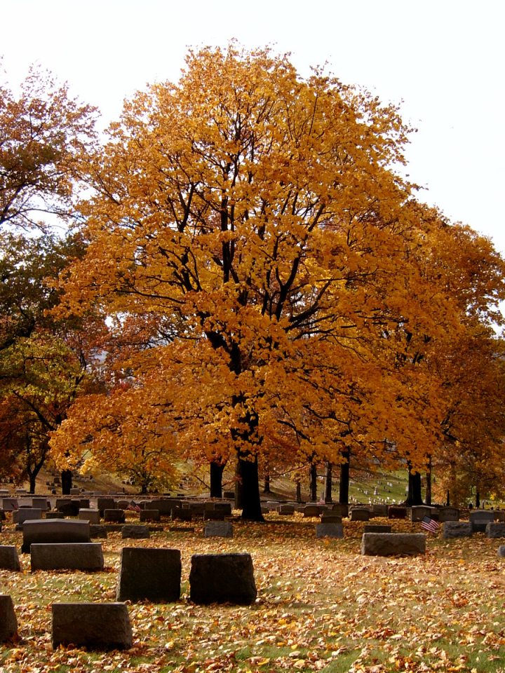 2013-11-09-Union-Dale-Cemetery-04