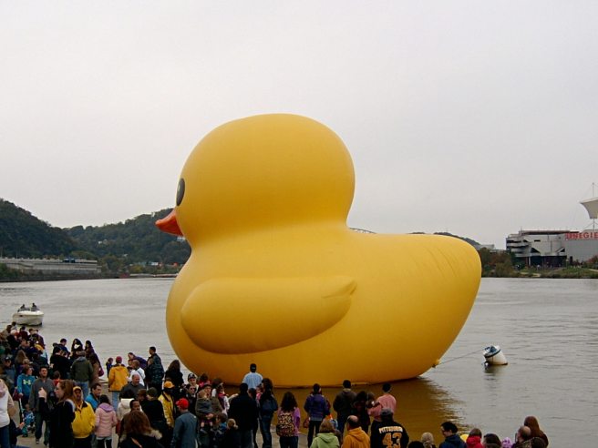2013-10-19-duck-02